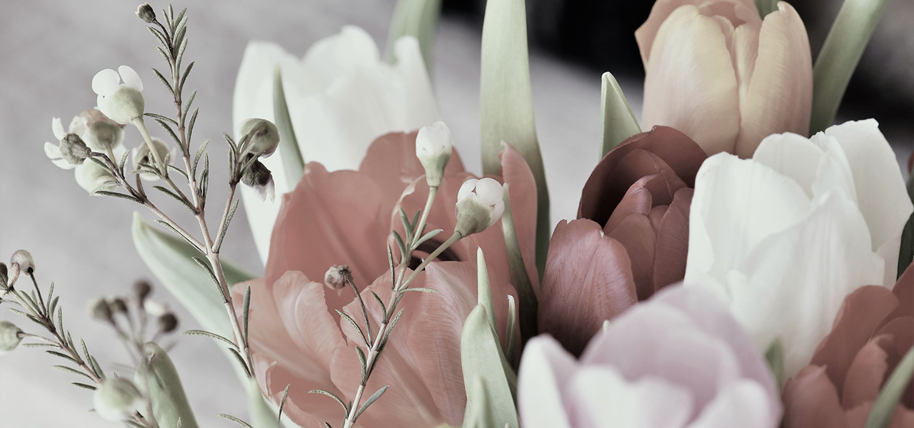 Flores